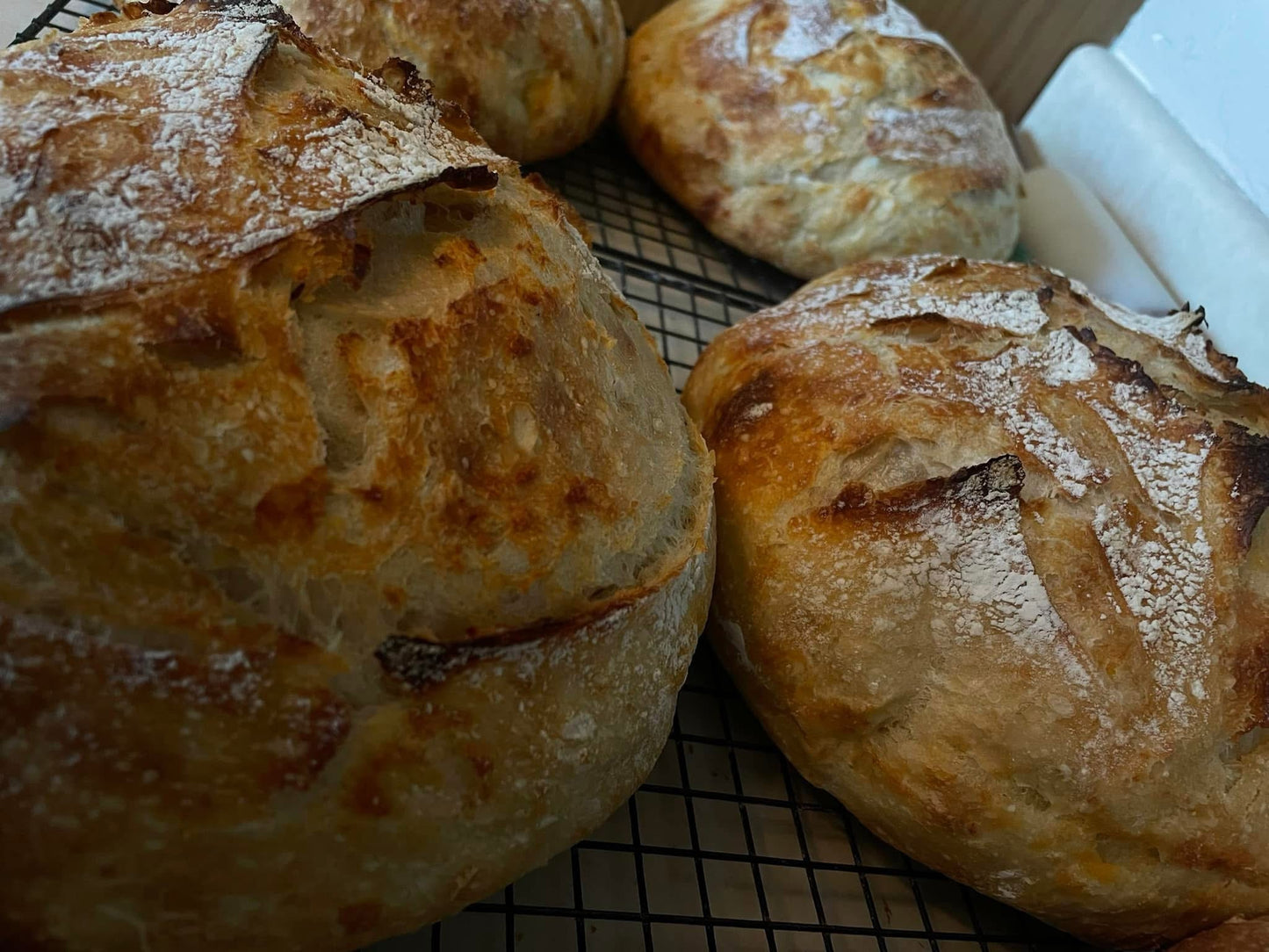 Specialty Sourdough Loaf