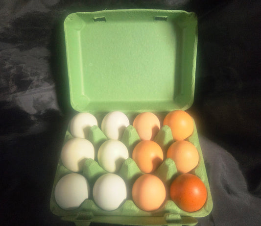 WVF Eggs