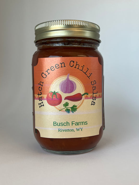Hatch Green Chili Salsa